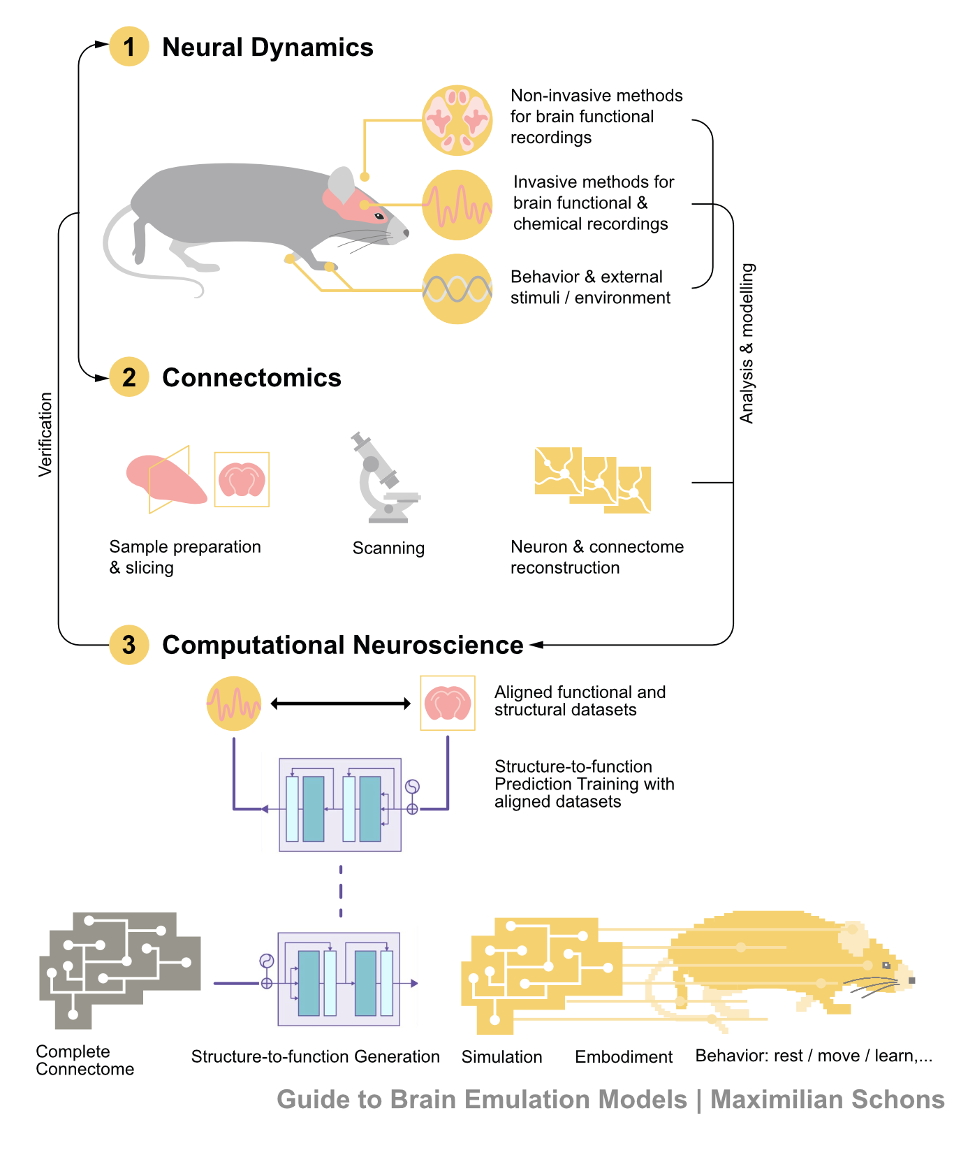 Figure Library Preview