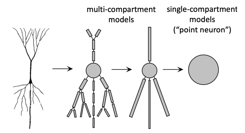 Diagram from Introduction to Neuroinformatics showing neural network architecture and signal processing concepts