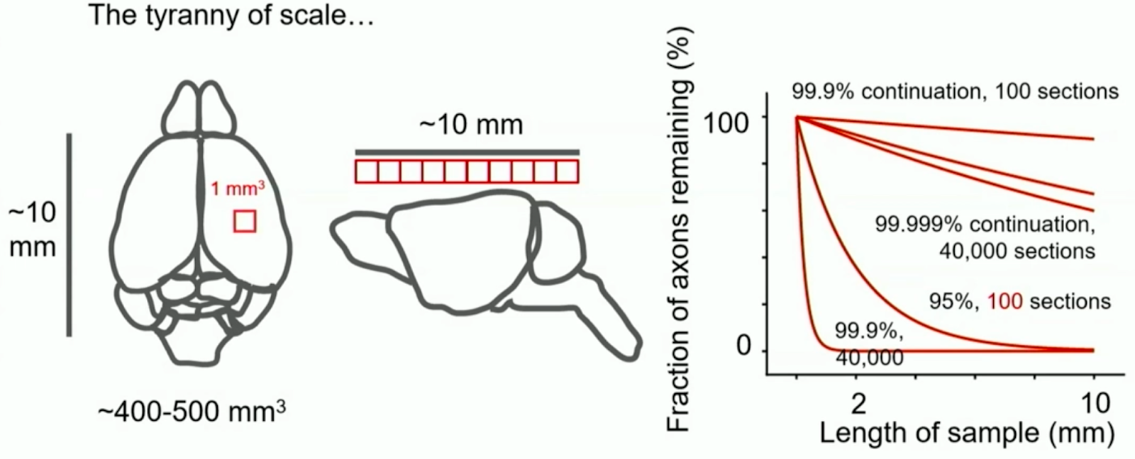 Graph: Tyranny of Scale - tracing accuracy declines exponentially with brain volume and imaging sections